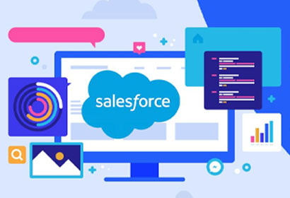 Salesforce Development Service